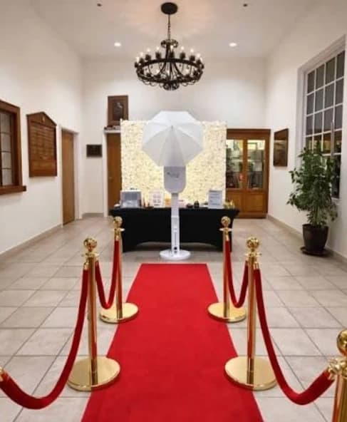A red carpet entrance with gold stanchions and velvet ropes